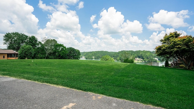 0 Lake Court Dr, Lynchburg, TN 37352 - photo 22