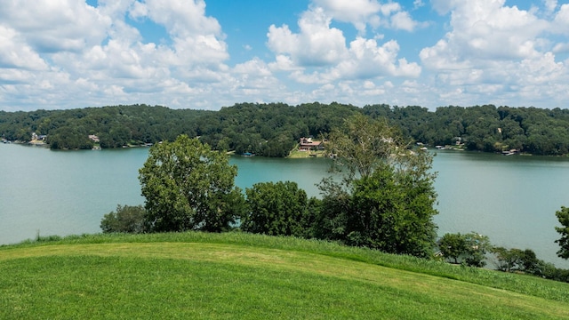 0 Lake Court Dr, Lynchburg, TN 37352 - photo 12