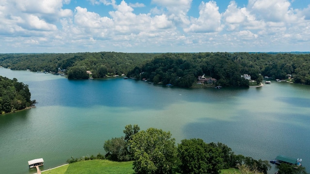 0 Lake Court Dr, Lynchburg, TN 37352 - photo 3