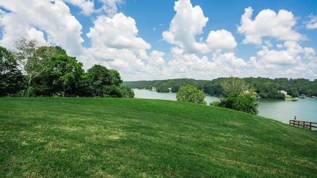0 Lake Court Dr, Lynchburg, TN 37352 - photo 25