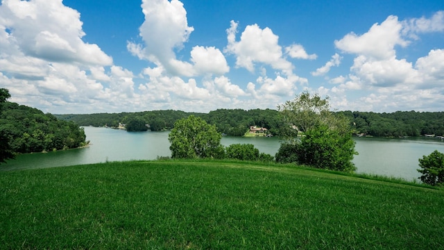 0 Lake Court Dr, Lynchburg, TN 37352 - photo 27