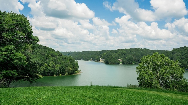0 Lake Court Dr, Lynchburg, TN 37352 - photo 29