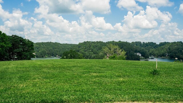 0 Lake Court Dr, Lynchburg, TN 37352 - photo 23