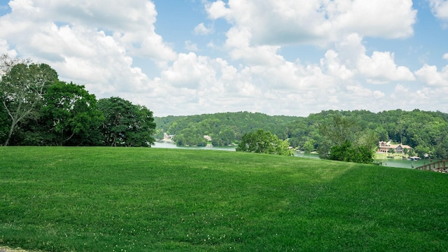 0 Lake Court Dr, Lynchburg, TN 37352 - photo 21