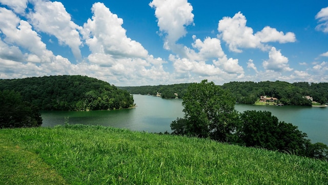 0 Lake Court Dr, Lynchburg, TN 37352 - photo 31
