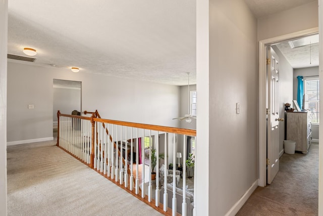 3401 Bent Wood Cv, Antioch, TN 37013 - photo 22