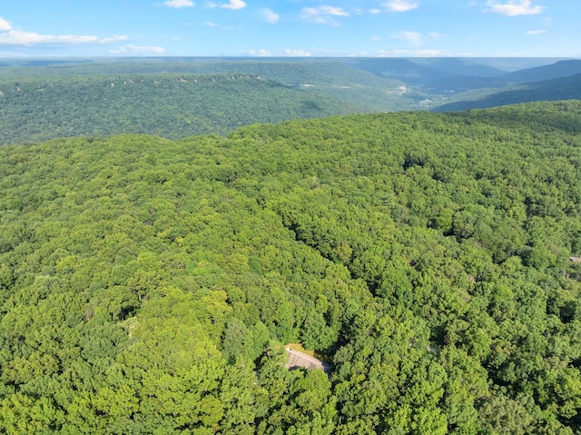 2035 Lakeshore Dr, Monteagle, TN 37356 - photo 46