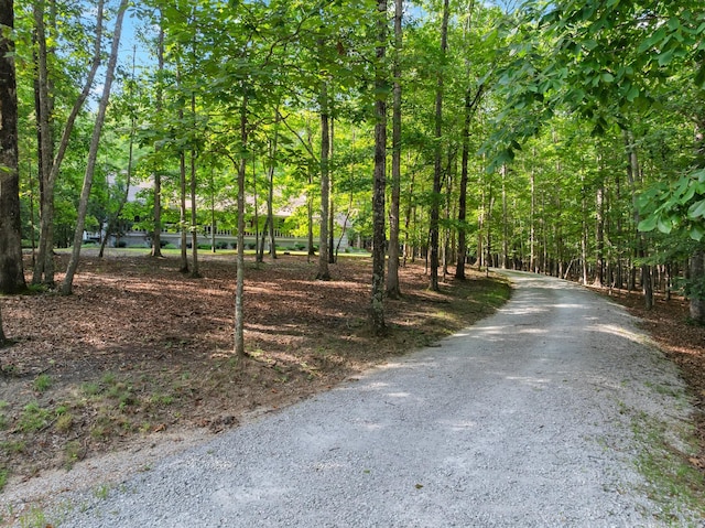 2035 Lakeshore Dr, Monteagle, TN 37356 - photo 50