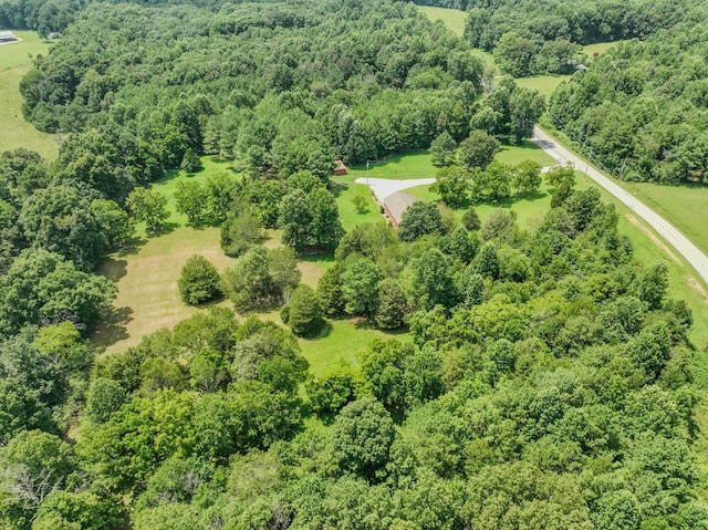 2545 Fall River Rd, Leoma, TN 38468 - photo 26