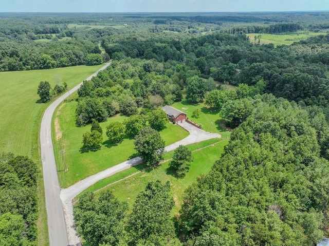 2545 Fall River Rd, Leoma, TN 38468 - photo 8