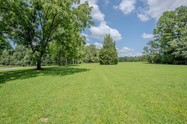 2545 Fall River Rd, Leoma, TN 38468 - photo 28