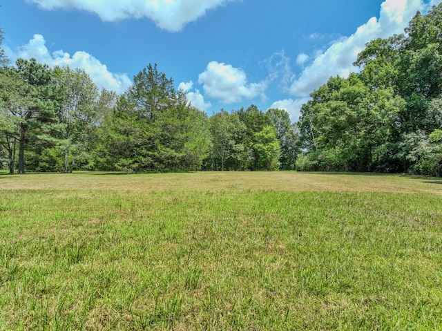 2545 Fall River Rd, Leoma, TN 38468 - photo 22