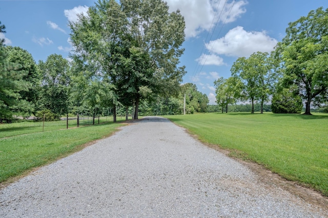 2545 Fall River Rd, Leoma, TN 38468 - photo 34