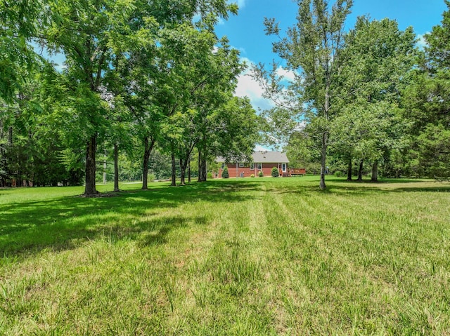 2545 Fall River Rd, Leoma, TN 38468 - photo 21