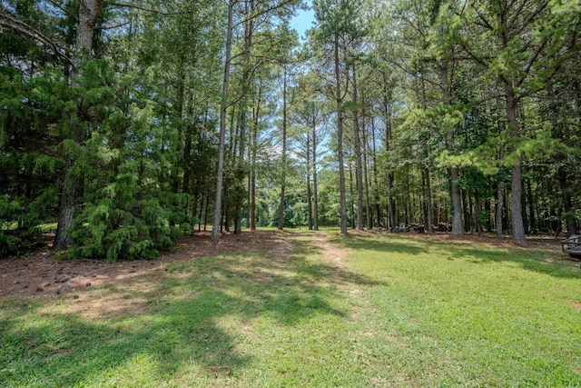2545 Fall River Rd, Leoma, TN 38468 - photo 32