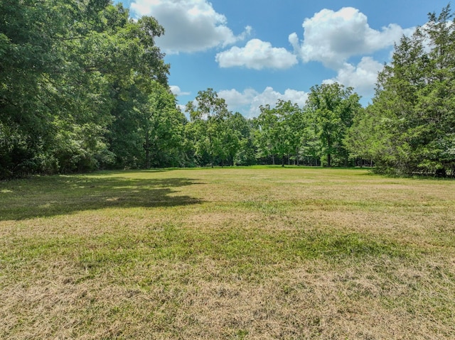 2545 Fall River Rd, Leoma, TN 38468 - photo 24