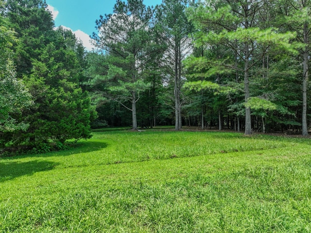 2545 Fall River Rd, Leoma, TN 38468 - photo 18