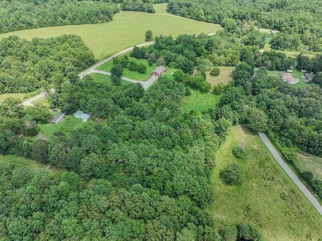 2545 Fall River Rd, Leoma, TN 38468 - photo 16