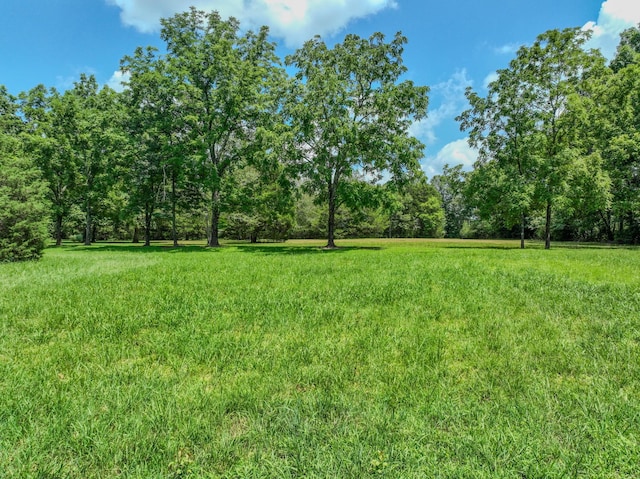 2545 Fall River Rd, Leoma, TN 38468 - photo 20