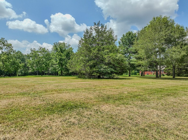 2545 Fall River Rd, Leoma, TN 38468 - photo 23