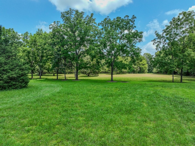 2545 Fall River Rd, Leoma, TN 38468 - photo 17