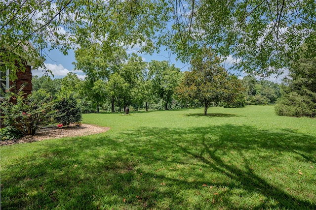 2545 Fall River Rd, Leoma, TN 38468 - photo 29