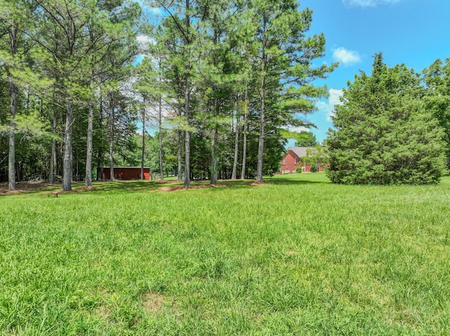 2545 Fall River Rd, Leoma, TN 38468 - photo 19