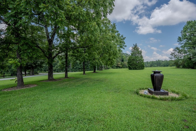 2545 Fall River Rd, Leoma, TN 38468 - photo 35