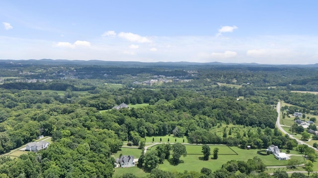 7011 Lindley Hill Ln, College Grove, TN 37046 - photo 54
