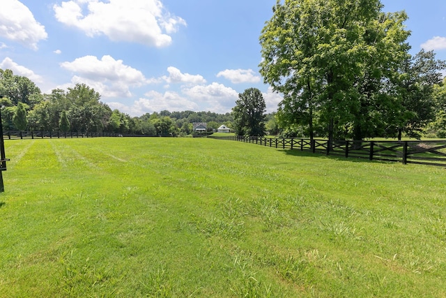 7011 Lindley Hill Ln, College Grove, TN 37046 - photo 39