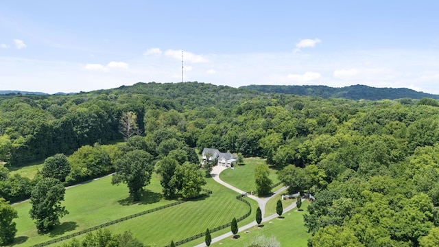7011 Lindley Hill Ln, College Grove, TN 37046 - photo 53