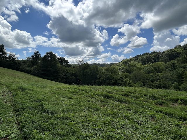 1 Chicken Creek Rd, Pulaski, TN 38478 - photo 5