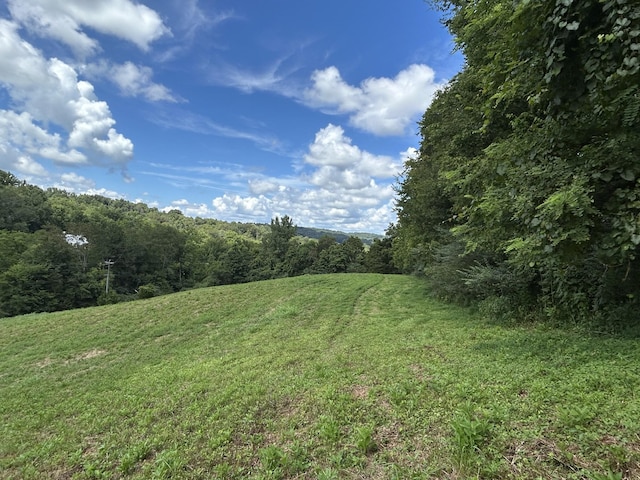 1 Chicken Creek Rd, Pulaski, TN 38478 - photo 9