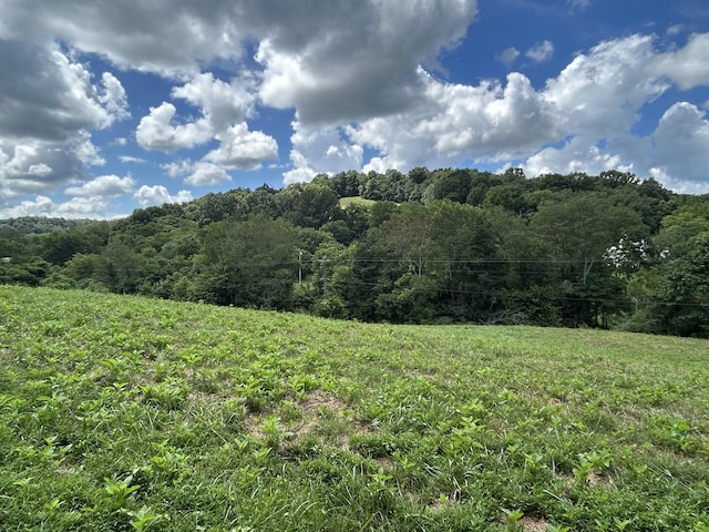 1 Chicken Creek Rd, Pulaski, TN 38478 - photo 2