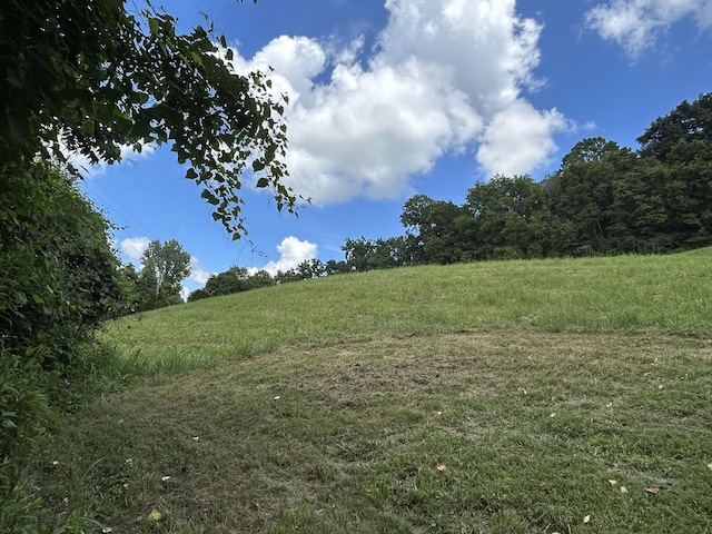 1 Chicken Creek Rd, Pulaski, TN 38478 - photo 11