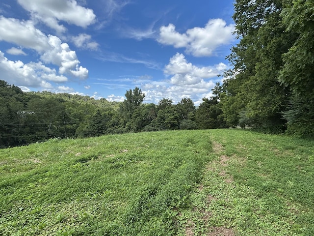 1 Chicken Creek Rd, Pulaski, TN 38478 - photo 8