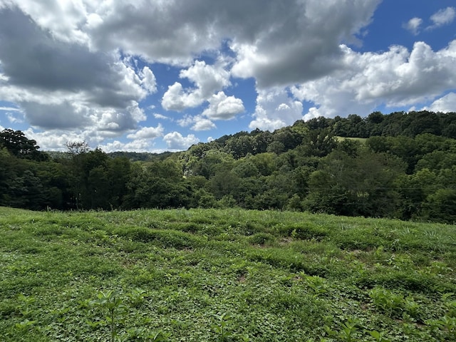 1 Chicken Creek Rd, Pulaski, TN 38478 - photo 6