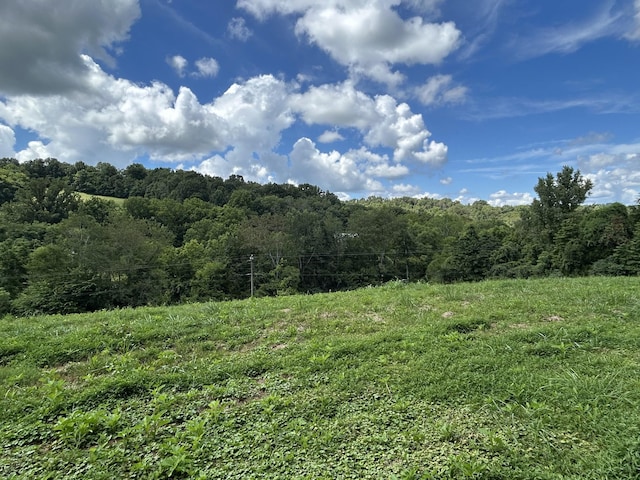 1 Chicken Creek Rd, Pulaski, TN 38478 - photo 7