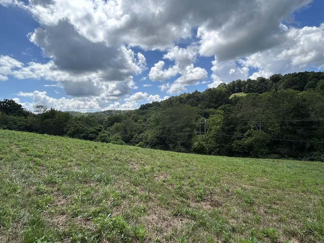 1 Chicken Creek Rd, Pulaski, TN 38478 - photo 3