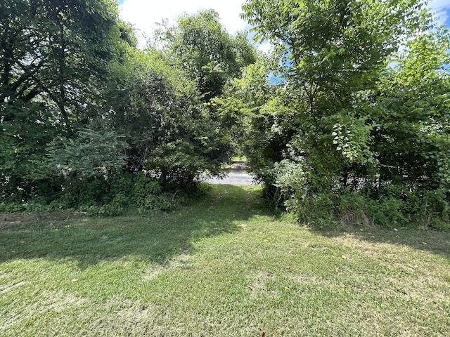 1 Chicken Creek Rd, Pulaski, TN 38478 - photo 4