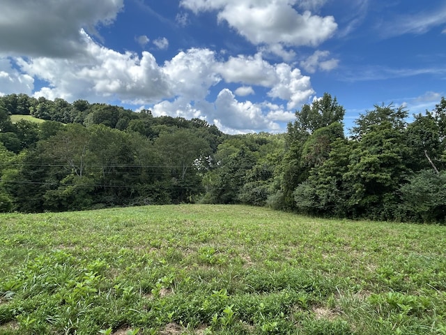 1 Chicken Creek Rd, Pulaski, TN 38478 - photo 1