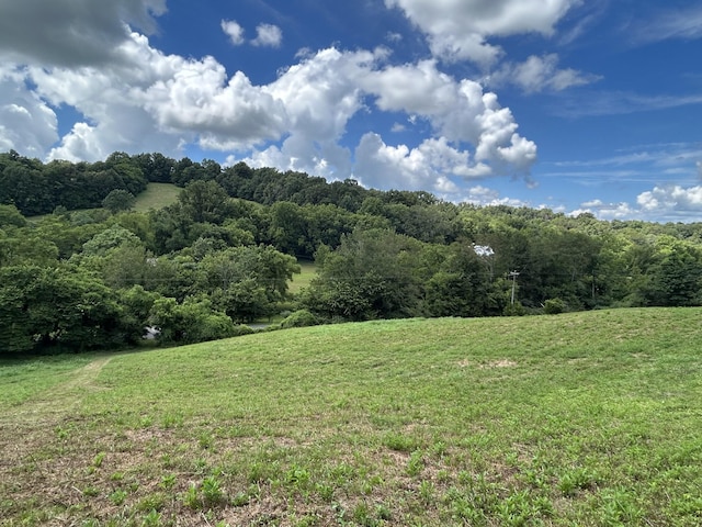 1 Chicken Creek Rd, Pulaski, TN 38478 - photo 10