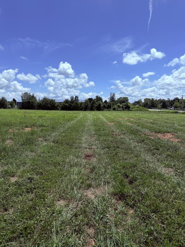 0 Nashville Hwy, Lewisburg, TN 37091 - photo 4