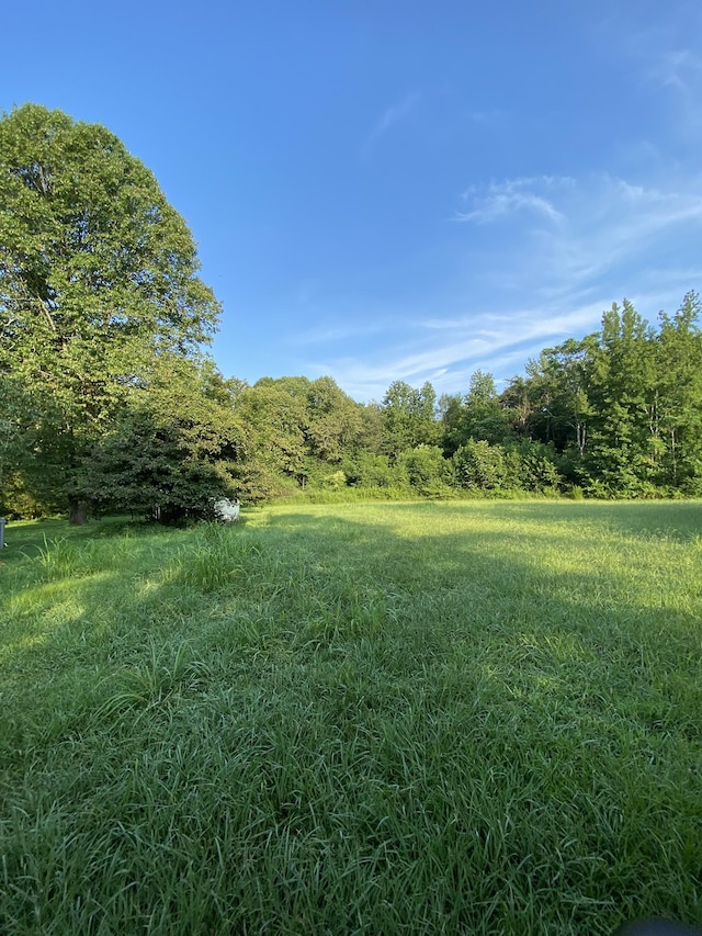 972 Fall River Rd, Goodspring, TN 38460 - photo 11