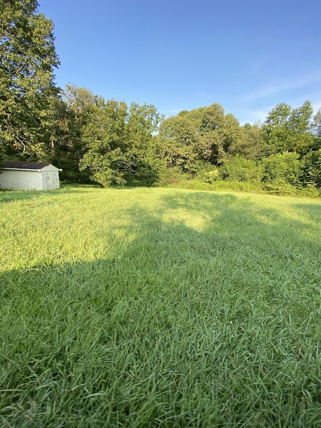 972 Fall River Rd, Goodspring, TN 38460 - photo 12