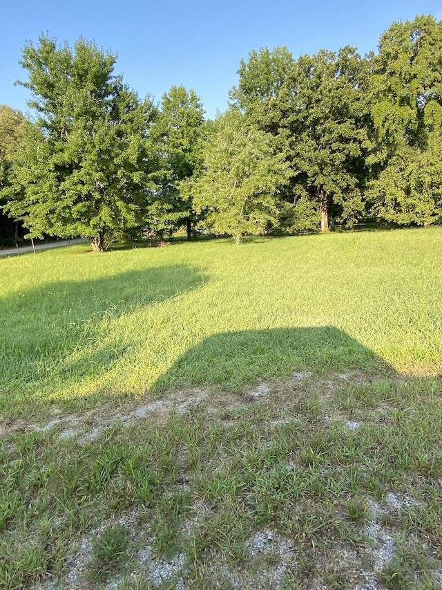 972 Fall River Rd, Goodspring, TN 38460 - photo 8