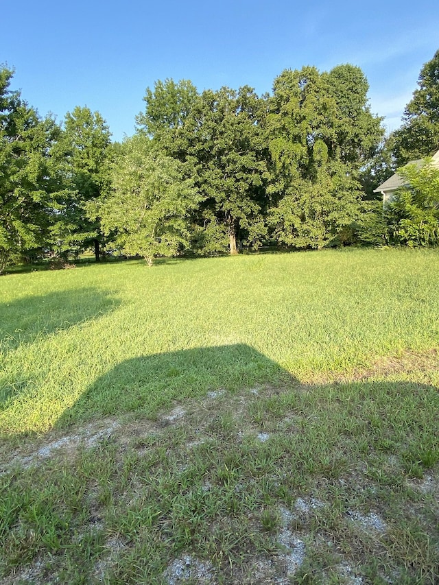 972 Fall River Rd, Goodspring, TN 38460 - photo 7