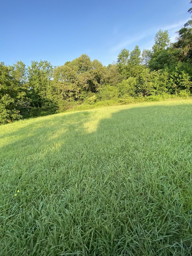 972 Fall River Rd, Goodspring, TN 38460 - photo 13