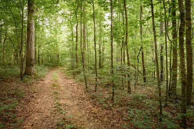 1 Peach Hollow Rd, Franklin, TN 37064 - photo 13