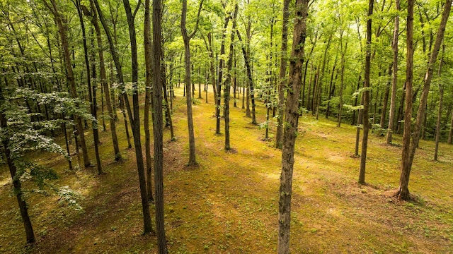 1 Peach Hollow Rd, Franklin, TN 37064 - photo 20